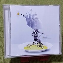 【名盤！】SCANDAL スキャンダル Kiss from the darkness CDアルバム Tonight マスターピース 月 まばたき Fuzzy A.M.D.K.J best ベスト_画像1