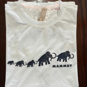 MAMMUTマムート　半袖Tシャツ アジアL QD Logo Print T-Shirt AF Men