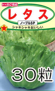 レタス　30粒　種　種子　　野菜　　家庭菜園　ノーブルSP　早生系