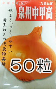 泉州中甲高　玉ねぎ　50粒　種　種子　　野菜　　家庭菜園