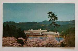 絵葉書　京都　国立京都国際会館と桜　　　　　　　　　　　　　　　　　　　　　　　　　　　　　