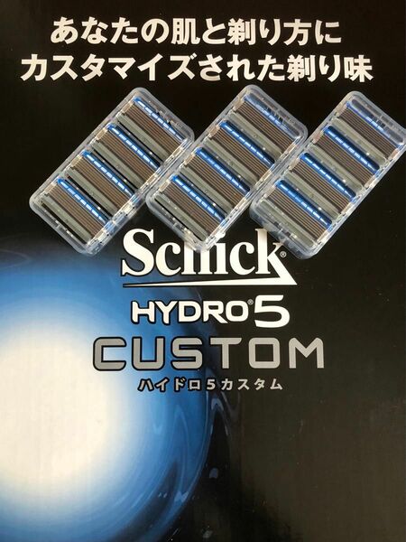 シックハイドロ5 カスタム　替刃12個