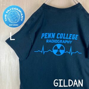 USA古着　PENN COLLEGE カレッジロゴ　半袖Tシャツ　Lサイズ バックロゴ