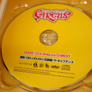 10円スタート! | DVD V.A. Circus Circus Circus 音影 GELUGUGU 石鹸屋 ザ・キャプテンズ 渋谷O-WEST GSDV-0006 Last G.S. Recordsの画像5