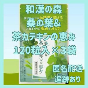 和漢の森　桑の葉&茶カテキンの恵み 120粒入×3袋