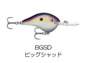 ラパラ　DT08-BGSD　ダイブストゥ