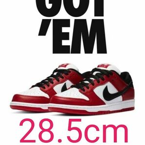 Nike SB Dunk Low Pro J-Pack Chicago Varsity Red and White 28.5cm