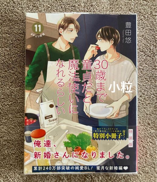 【初版】30歳まで童貞だと魔法使いになれるらしい(11)チェリまほ ※特装版小冊子無し※