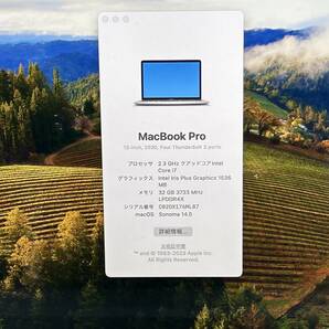 【美品 13.3インチ】Apple MacBook Pro(13-inch,2020) A2251 Core i7(1068NG7)/2.3GHz RAM:32GB/SSD:1TB シルバー Sonoma 動作品の画像8