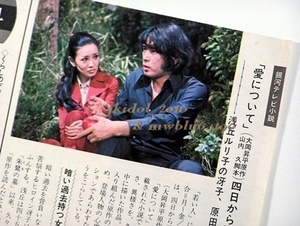 原田芳雄！浅丘ルリ子！1972年！銀河テレビ小説！（切り抜き:管理W7288）