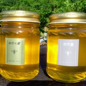 【非加熱・純粋はちみつ】スッキリとした甘さとほのかな酸味が人気なみかん蜜&濃厚な甘さの百花蜜食べ比べセット150g