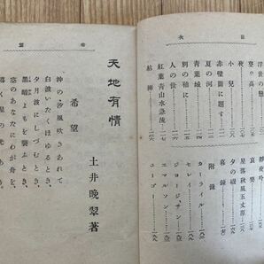 土井晩翠 天地有情 古書 の画像8