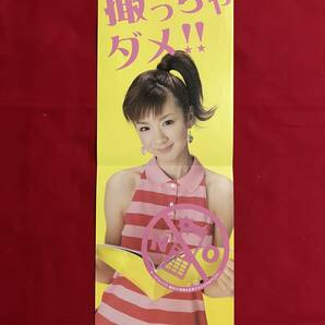 ★「ほしのあき」グラビアタレント〜等身大ポスター他セットの画像3