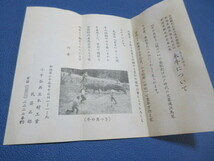 木牛　闘牛　民芸　新潟県　小千谷　木製品　中古品_画像7