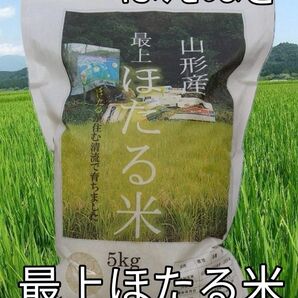 最上【ほたる米】山形県産はえぬき 5kg 令和5年度新米 農家直送