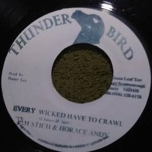 Zion Gate DJ Cut！ Every Wicked Have To Crawl Jah Stich & Horace Andy from Thunder Bird