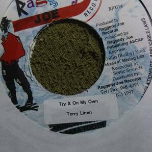 Terry Linen Hit曲 Try It On My Own from Raggedy Joeの画像1