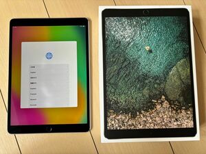 Apple iPad Pro 10.5インチ 256GB スペースグレイ Wi-Fi+Cellular MPHG2J/A