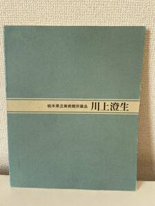 【栃木県立美術館所蔵 川上澄生】図録