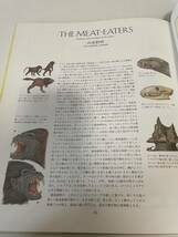 【AFTER MAN アフターマン 人類滅亡後の地球を支配する動物たち】1982年 旺文社 初版_画像6