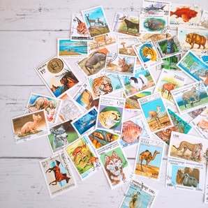 海外切手 コレクション 生き物 57枚 使用済み 消印有 の画像2