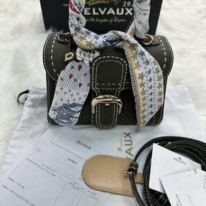 新品未使用 ※DELVAUX デルヴォー※ バッグ ブリヨン mini ショルダーバッグ ハンドバッグ 希少 限定 ブランド レディースの画像2