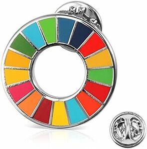 Aoouik SDGs ピンバッジ SDGs バッジ 25mm 最新仕様 国連本部限定販売 琺瑯工芸 銀