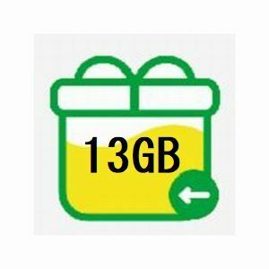 13GB(10GB+3GB) mineo パケットギフト.