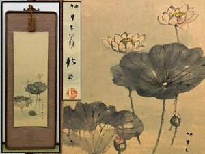 Art hand Auction Guaranteed authenticity Fujii Matsuyama Lotus flower watercolor painting framed Bingo calligraphy painting antique art object 9464wdzN, painting, watercolor, Nature, Landscape painting