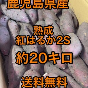 鹿児島県産　熟成　紅はるか　2S 箱込20キロ