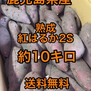 鹿児島県産　熟成　紅はるか　2S 箱込10キロ