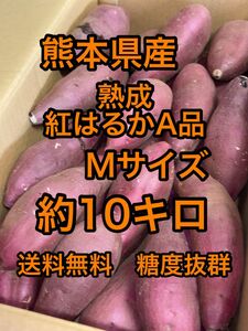 熊本県産 熟成紅はるか 約10キロサイズMクラス