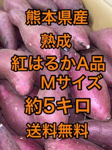 熊本県産 熟成紅はるか 箱込5キロサイズMクラス　 M 約25本 