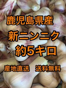 鹿児島県産　新ニンニク　嘉定種　約5キロ