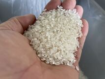 令和4年産コシヒカリ玄米20k。古米、送料込み5000円。特別栽培米。殺虫剤不使用、有機肥料不使用。美味しくなければ返品出来ます。_画像9
