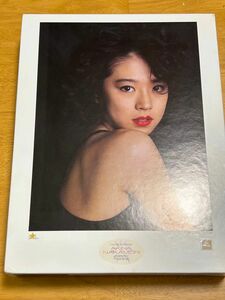 希少品　中森明菜 ジグソーパズル　 No.500-S09 絶版品