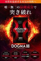 ２袋　シトルリン 亜鉛 マカ 特許取得成分5種配合 DOGMA88_画像6