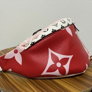 LOUIS VUITTON M44575 バムバッグ モノグラムの画像3