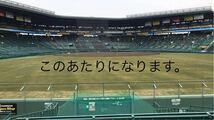 阪神甲子園球場4月21日((日))阪神対中日公式戦チケットライト外野指定席１枚　雨天保証_画像2