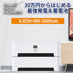 30万円からはじめる 最強蓄電池 ソーラー発電システム ハイブリッドインバーター 家庭用蓄電池 5000wh容量 5000w出力 SEKIYA