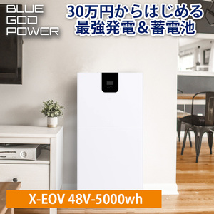 30万円からはじめる 最強蓄電池 ソーラー発電システム ハイブリッドインバーター 家庭用蓄電池 5000wh容量 5000w出力 SEKIYA