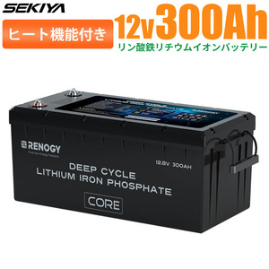 【ヒート機能】リン酸鉄リチウムイオンバッテリー Core LT 12V 300AH 3600Wh 5000回寿命 安全 lifepo4 ディープサイクル BMS保護 SEKIYA