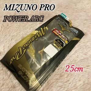 MIZUNO PRO ミズノプロ バッティンググローブ パワーアーク 25cm