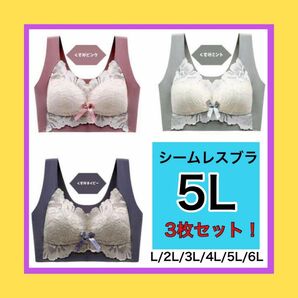 シームレスブラ　ノンワイヤー　ナイトブラ　マタニティ　大きいサイズ　5L 新品