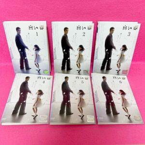 【新品ケース付き】白い春 DVD 全6巻 全卷セット レンタル レンタル落ち