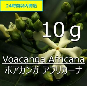 【無農薬】天然染料 ボアカンガ 10g