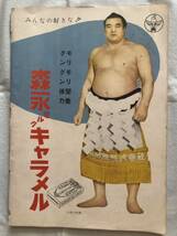 （書籍）　「羽黒山　横綱　引退記念」　　（昭和29年　羽黒山引退記念協賛会出版部発行）_画像8