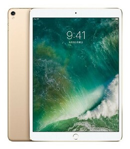 iPadPro 10.5インチ 第1世代[512GB] Wi-Fiモデル ゴールド【安…