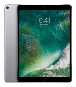 iPadPro 10.5インチ 第1世代[256GB] セルラー docomo スペース…