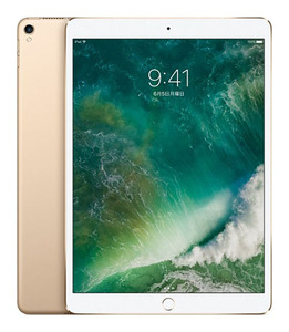 iPadPro 10.5インチ 第1世代[256GB] セルラー au ゴールド【安…